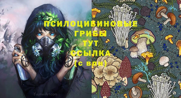 ешки Алзамай