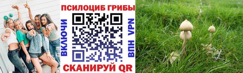 shop телеграм  Невинномысск  Галлюциногенные грибы прущие грибы 